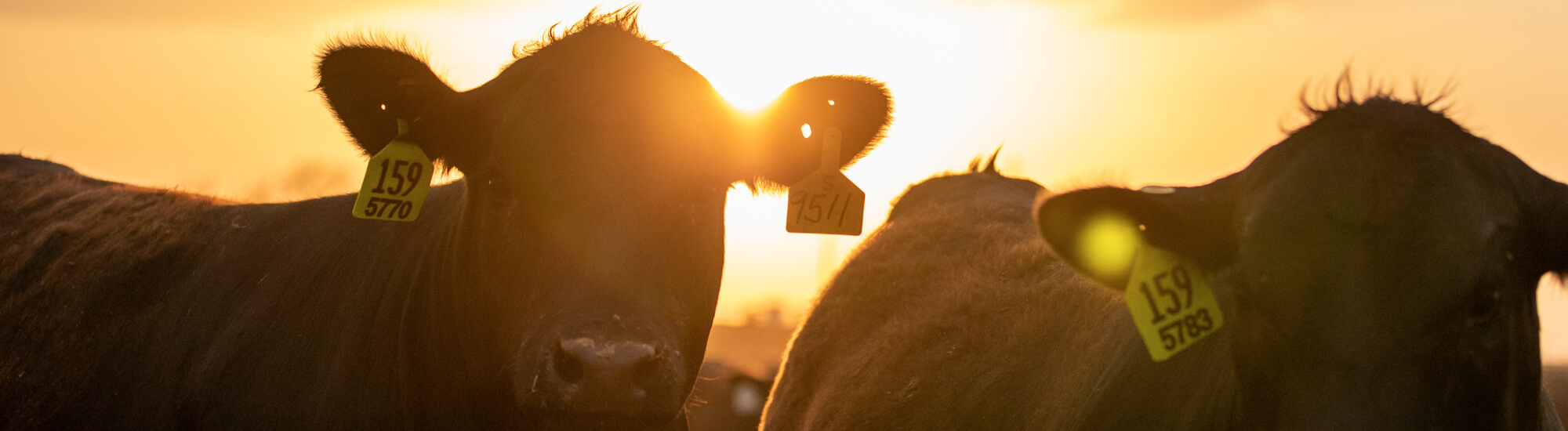 Hotel & Travel Feeding Quality Forum 2023